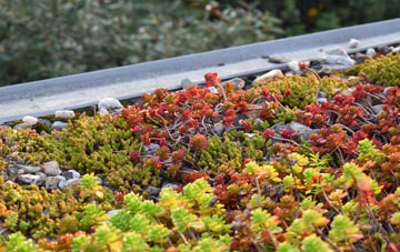 the cost of Fifield Bavant green roof installation