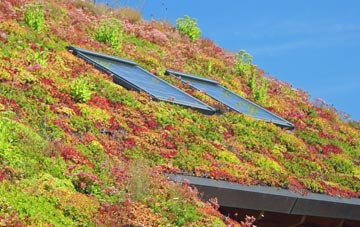 Fifield Bavant living roof systems