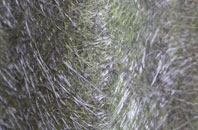 Fifield Bavant fibreglass roof work