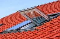 Fifield Bavant roof window